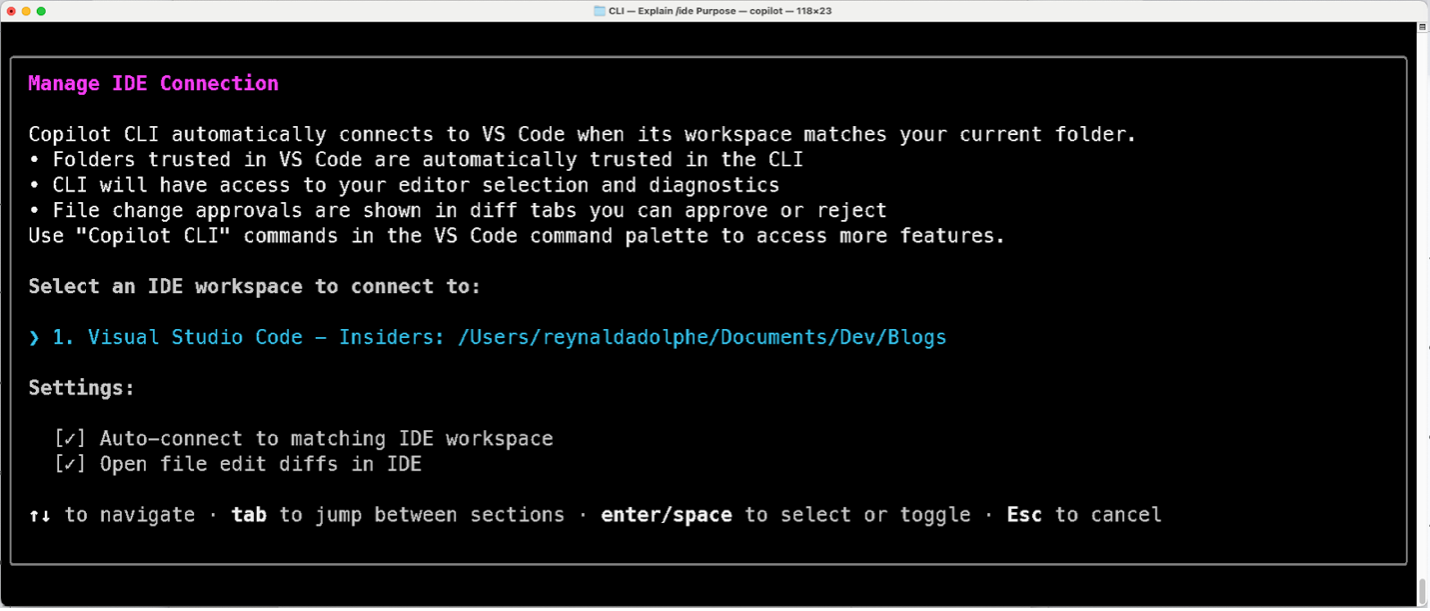 Screenshot of the Copilot CLI screen with VS Code auto‑connect settings and a selected workspace.